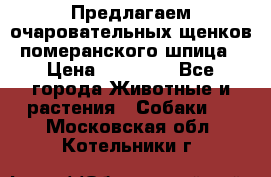 Предлагаем очаровательных щенков померанского шпица › Цена ­ 15 000 - Все города Животные и растения » Собаки   . Московская обл.,Котельники г.